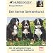 Der Berner Sennenhund: Die 50 wichtigsten Fragen - vom Experten beantwortet (Hunderassen)
