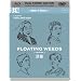 FLOATING WEEDS [UKIGUSA](Masters of Cinema) (DVD & BLU-RAY DUAL FORMAT) [1959]