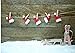LB Christmas Backdrops for Photography 7x5ft Poly Fabric Christmas Hat on The Wood Wall Photo Backdrops for Home Party Pictures Customized Photo Background Studio Props