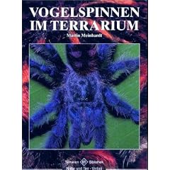 Vogelspinnen im Terrarium