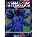 Vogelspinnen im Terrarium