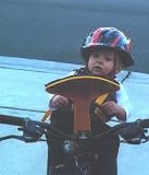  : WeeRide Child Bike Seat (Colors May Vary)
