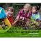 Let's Compost!