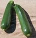 David's Green Hybrid Organic Zucchini Partenon 10 Seeds per Packet