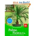 Palme, Ficus und Co: Die sch�nsten Arten f�r die Wohnung