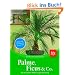 Palme, Ficus und Co: Die sch�nsten Arten f�r die Wohnung