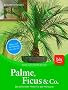 Palme, Ficus und Co: Die sch�nsten Arten f�r die Wohnung