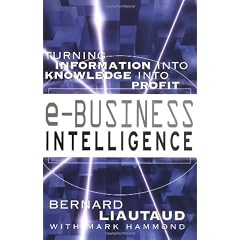 e-Business Intelligence: Turning Information into Knowledge into Profit