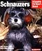 schnauzer12 - Schnauzers