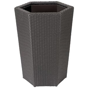 DMC Products 24-Inch Hexagon Resin Wicker Vista Planter by 