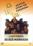 Ladysmith Black Mambazo - Gentle Steps To Freedom [DVD]
