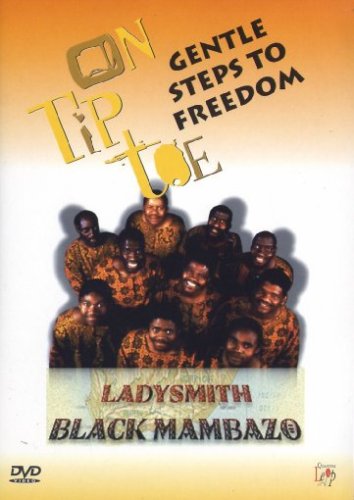 GENTLE STEPS TO HEAVEN DVD