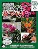 決定版　はじめての花づくり (今日から使えるシリーズ)