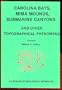 Carolina Bays, Mima Mounds, Submarine Canyons and Other Topographical Phenomena: A Catalog of Geological Anomalies