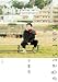 小栗旬 Next Stage