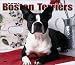 boston terrier - For the Love of Boston Terriers 2004 Calendar