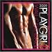 Playgirl Stud Zone 2009 Calendar