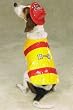 X-LARGE - FIRE CHIEF - Pet Halloween Costume