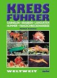 Krebs-F&uuml;hrer: Garnelen, Krabben, Langusten, Hummer, Fangschreckenkrebse Weltweit - Helmut Debelius