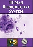 Human Reproductive System DVD