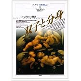 双子と分身 -〈対なるもの〉の神話-     イメージの博物誌 34