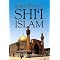 Shia Revolution in Modern Islam