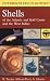 A Field Guide to Shells of the Atlantic and Gulf Coasts and the West Indies