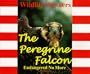 The Peregrine Falcon - Endangered No More (Wildlife Winners)