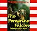 The Peregrine Falcon - Endangered No More (Wildlife Winners)