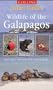 Galapagos (Safari Guide)
