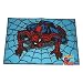 Spiderman Bath Rug