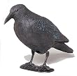 Star 140519 Rabe schwarz 38 cm mit Stab + F��en aus Kunststoff