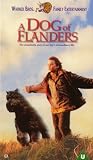 Review Warner Home Video  / A Dog Of Flanders [1999]