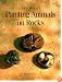 The Art of Painting Animals on Rocks