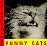 Funny Cats Postcard Book (1556704712) by Suares, Jean-Claude