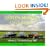 Aston Martin and Lagonda: V8 Cars v. 2: A Collector's Guide