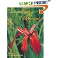 Steyermark's Flora of Missouri, Volume 1 by George Yatskievych