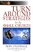cover of Turnaround Strategies for the Small Church (Effective Church)