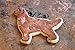 Golden Retriever Cookie Cutter 4.75 Inch Handcrafted in USA by The Fussy Pup