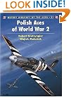Polish Aces of World War 2 (Osprey Aircraft of the Aces No 21)
