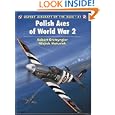 Polish aces aviation