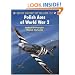 Polish Aces of World War 2 (Osprey Aircraft of the Aces No 21)