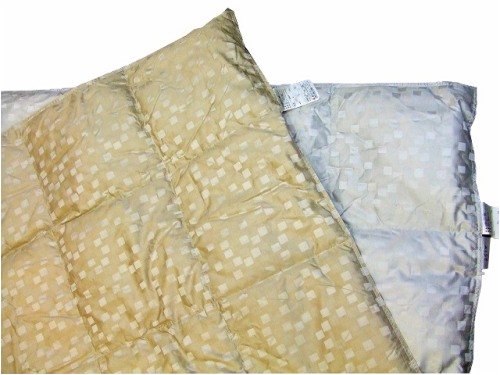 【送料無料78%引き】 西川 羽毛肌布団 AISE （エゼ デュウ）AD150（ダブル）品番：1411-15030（グレー）