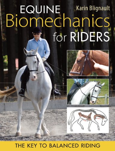 Equine Biomechanics for Riders: The Key to Balanced Riding