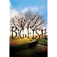 Big Fish