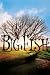 Big Fish