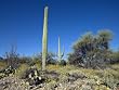 Desert Scenery Near Tucson, Arizona - Memorable 16x20-inch Photographic Print by Carol M. Highsmith