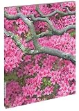 Produkt-Bild: Zen flowers: Blank Book large