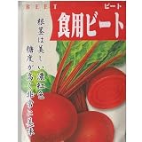 在来固定種　野菜の種「食用ビート〔デトロイトダークレッドビーツ〕」20ml　畑懐〔はふう〕