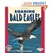 Soaring Bald Eagles (Pull Ahead Books)
